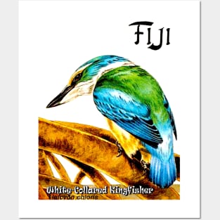 FIJI : White-Collard Kingfisher Travel Advertising Print Posters and Art